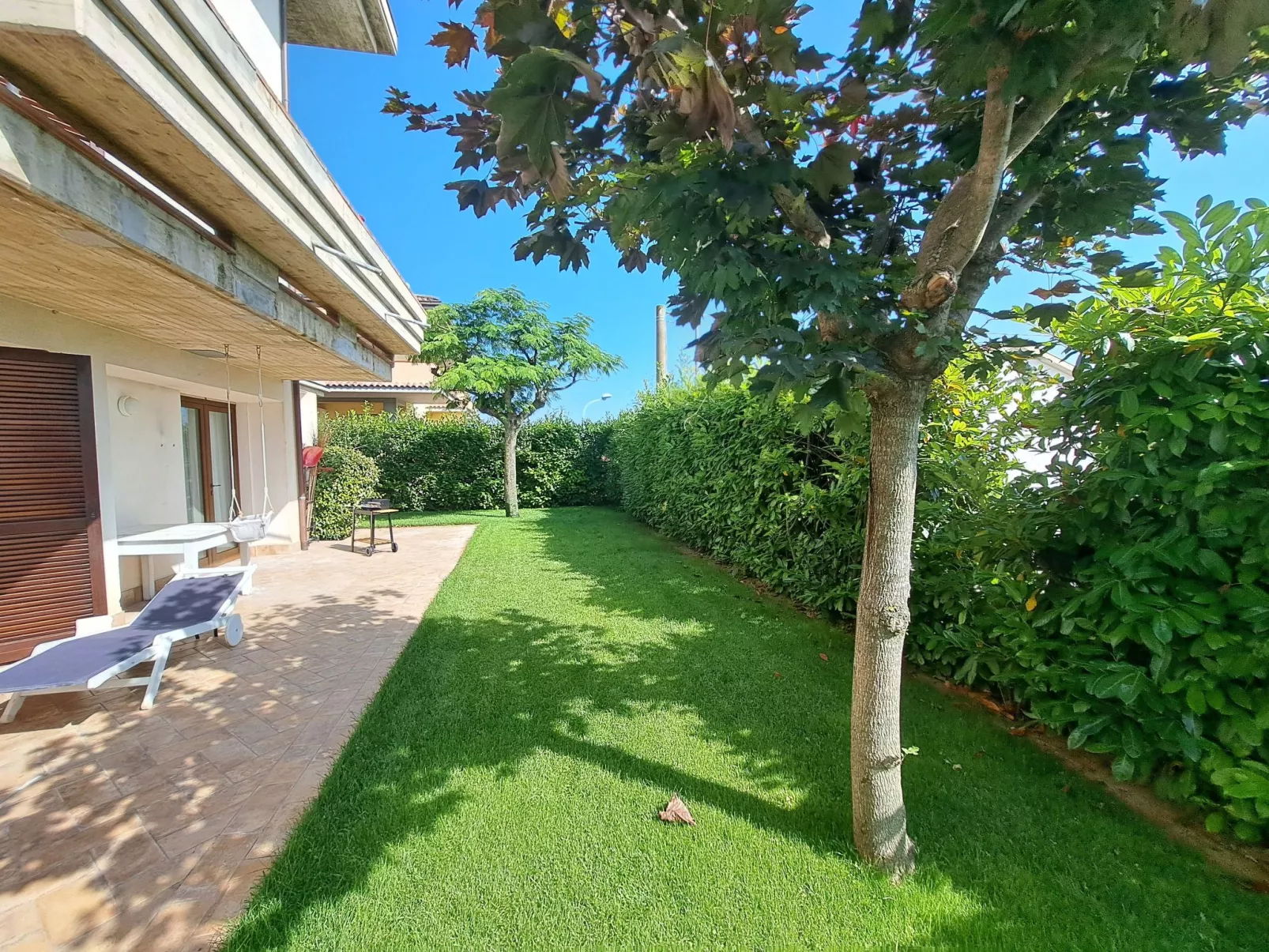 "Daphne Experience".