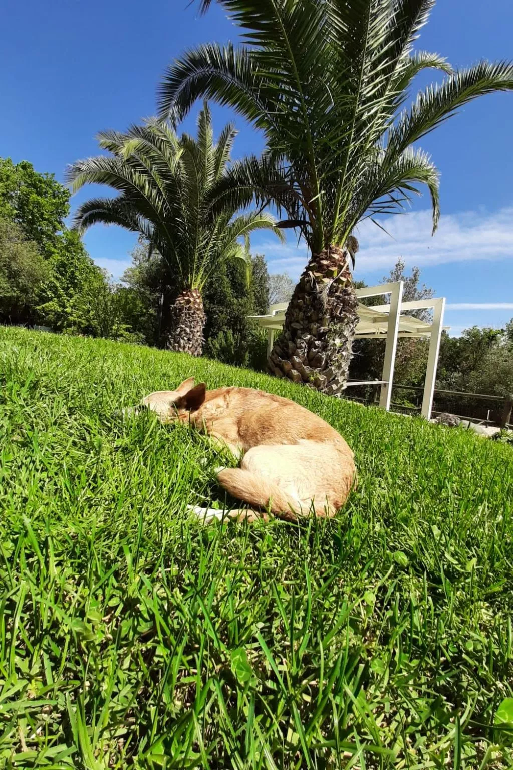 Drei-Zimmer-Wohnung im Bauernhaus-Buiten