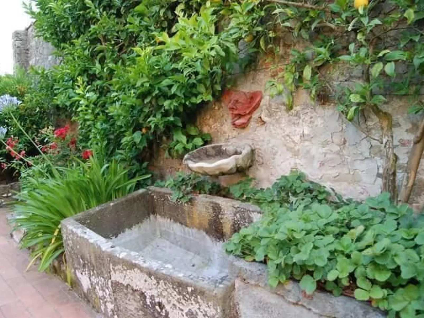 Wohnung "Il Cedro" Penthouse mit Aussicht-Buiten