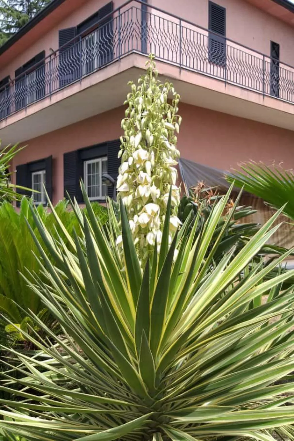 Sizilianisches Haus-Buiten