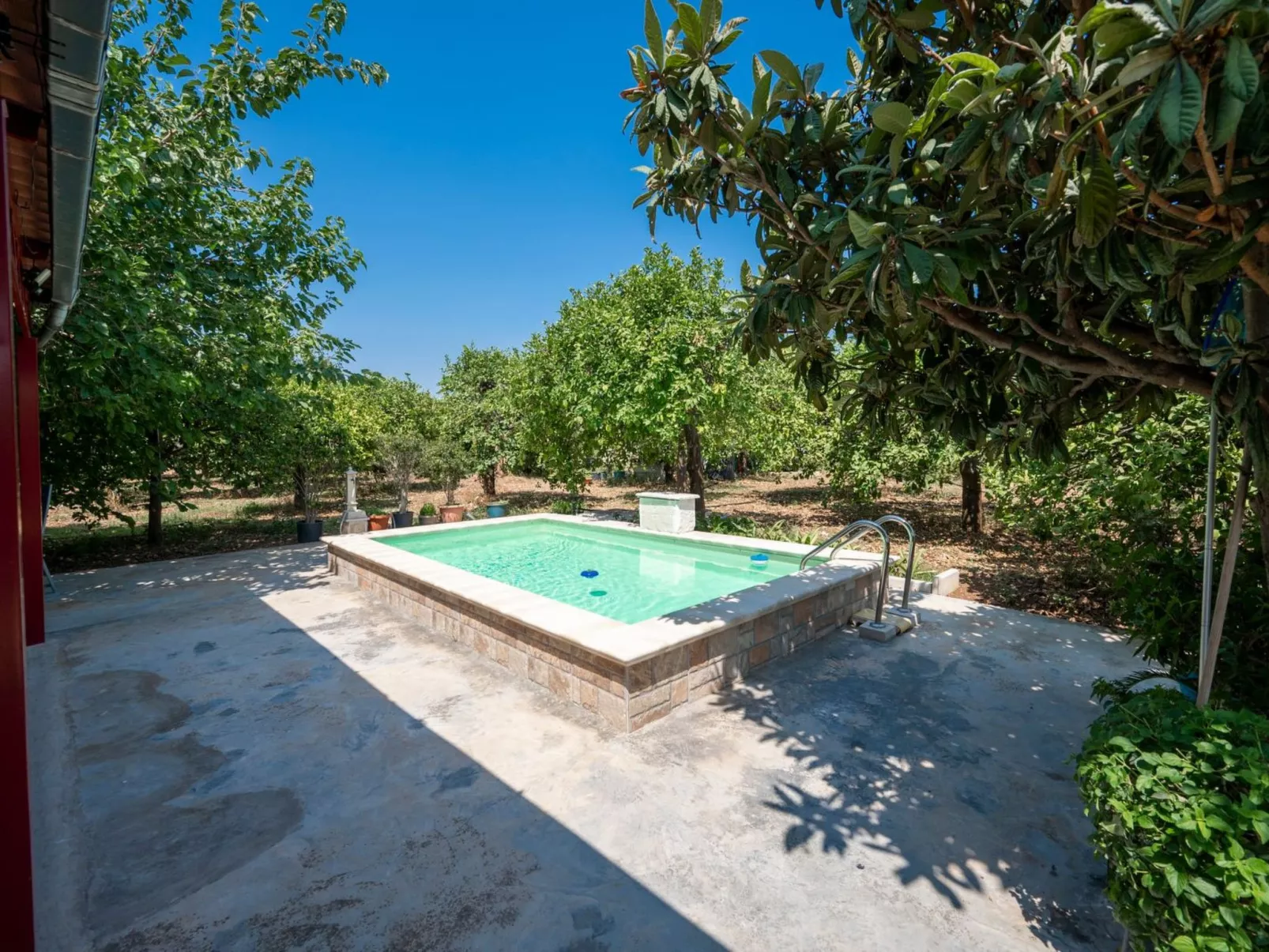 Der Zitronenhain von Nonno Corrado