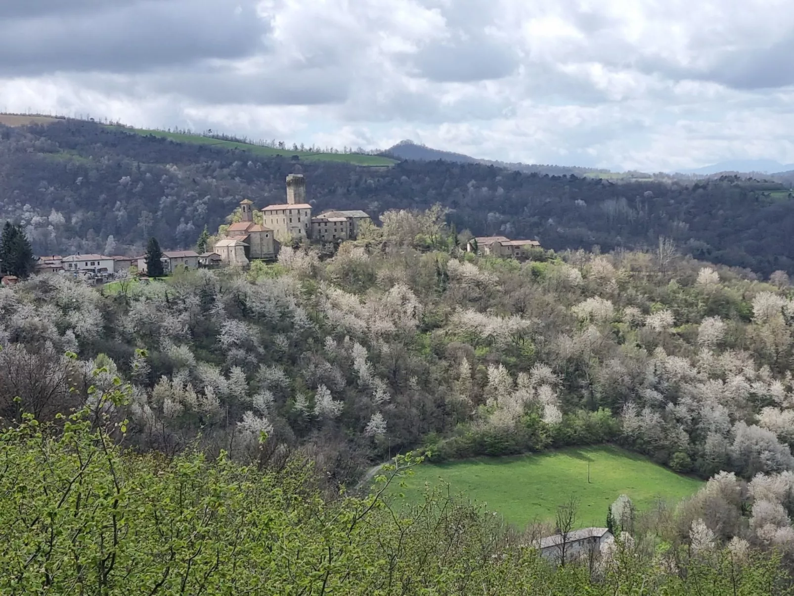 Cascina Bricco - San Giorgio Scarampi Wohnung-Buiten