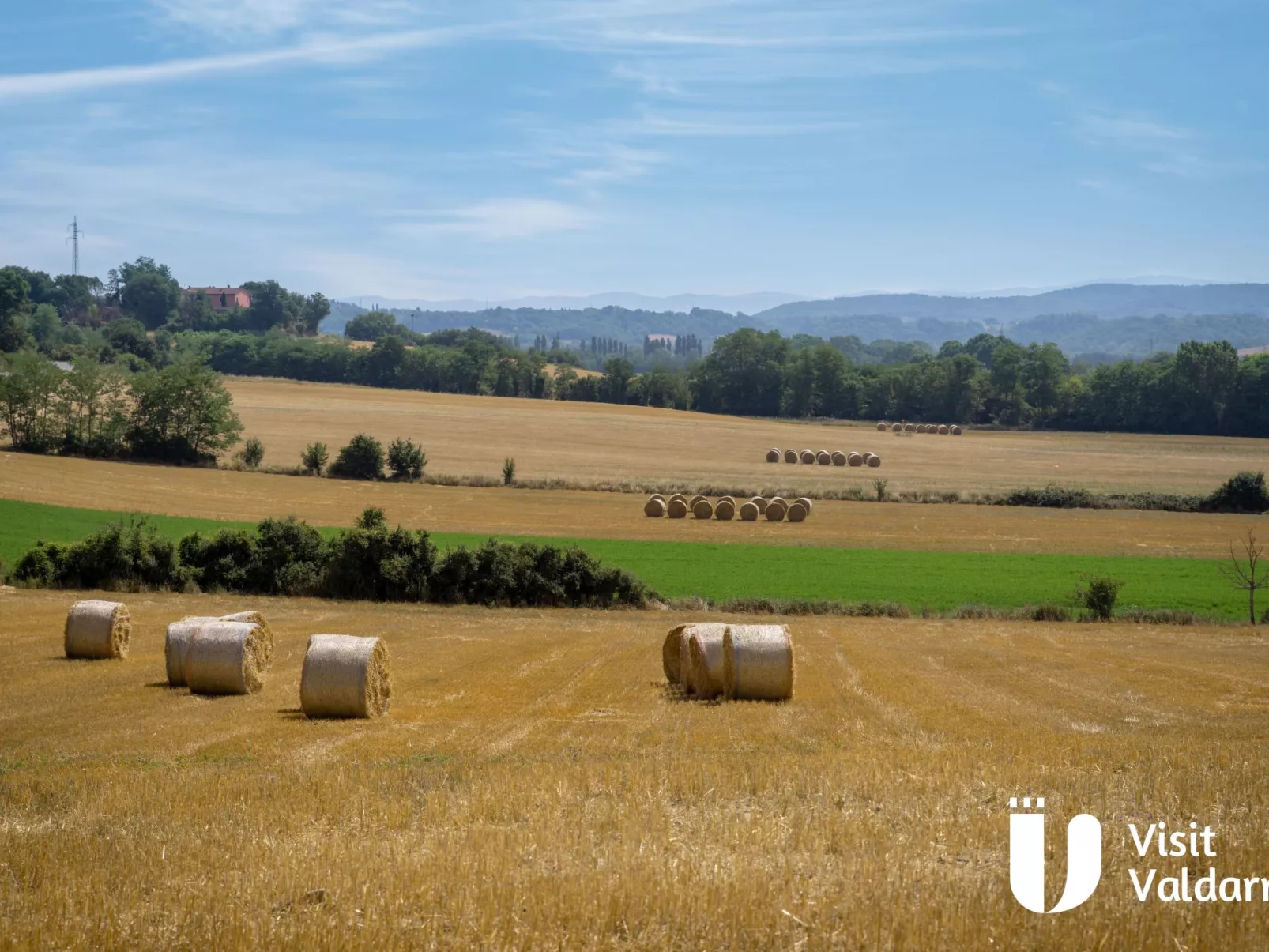 Flache Kornblume-Image-tags.info