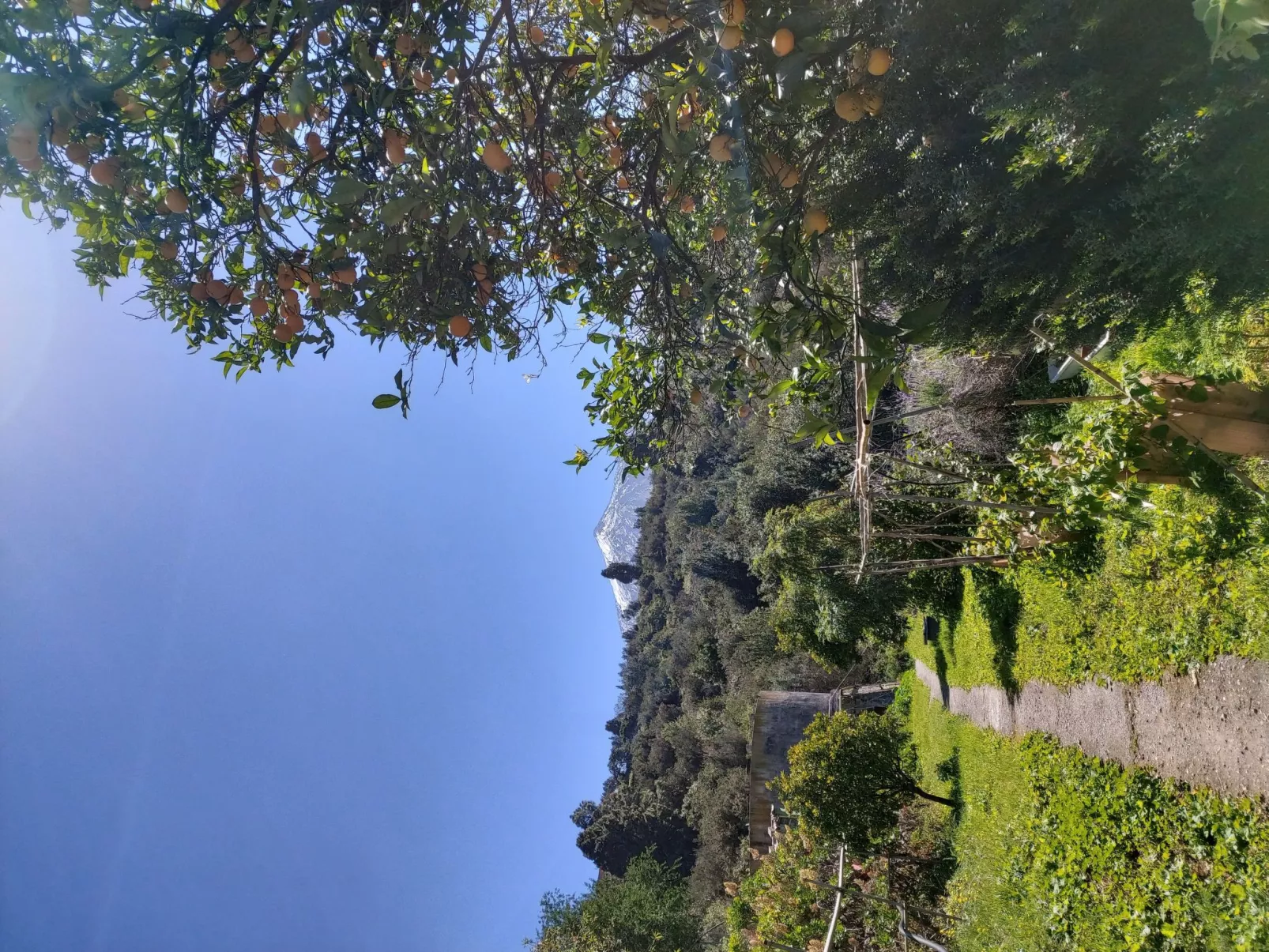 FW Cueva del Viento - Buiten