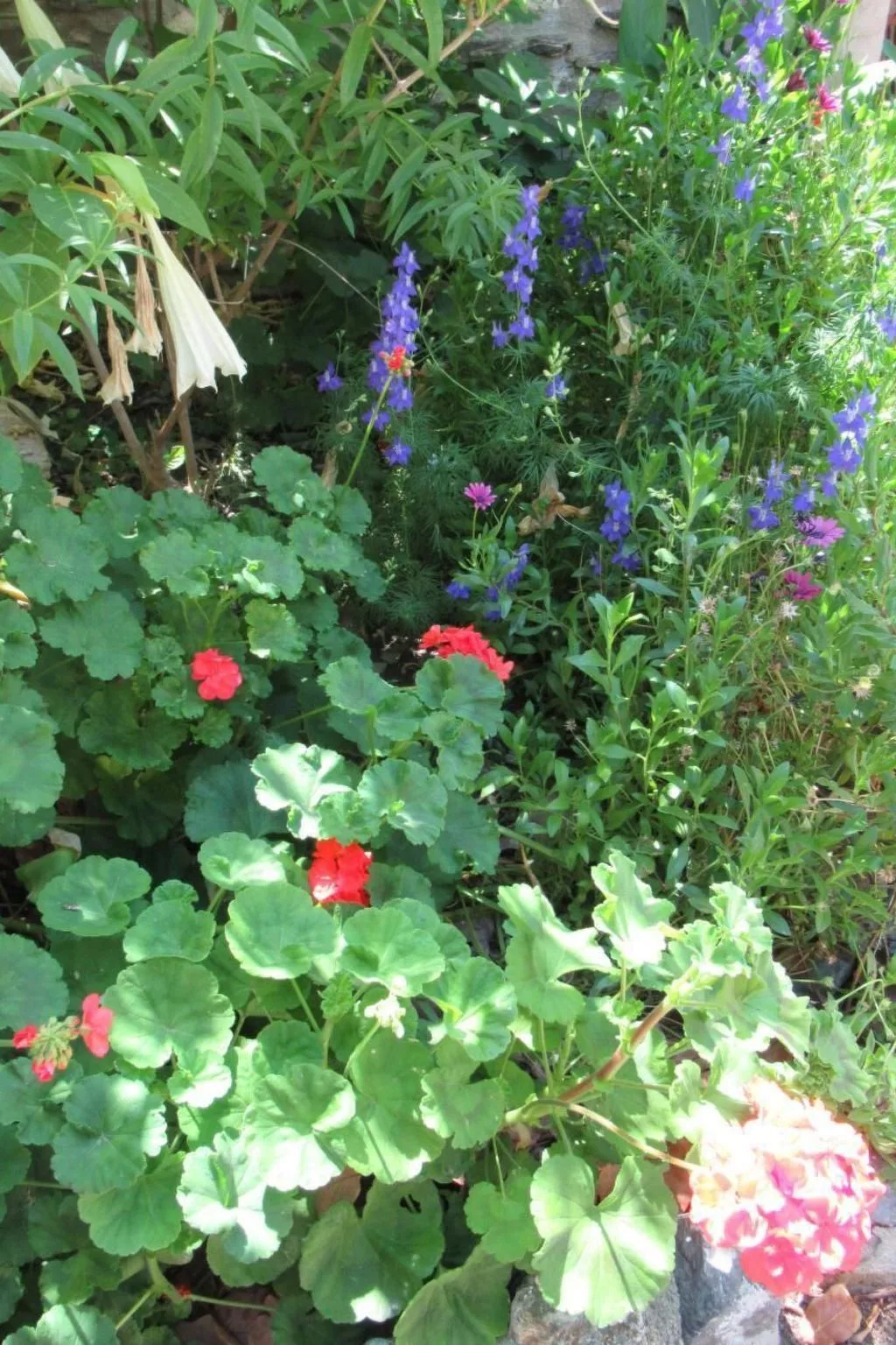 Eine Oase der Ruhe mitten in der Stadt-Buiten