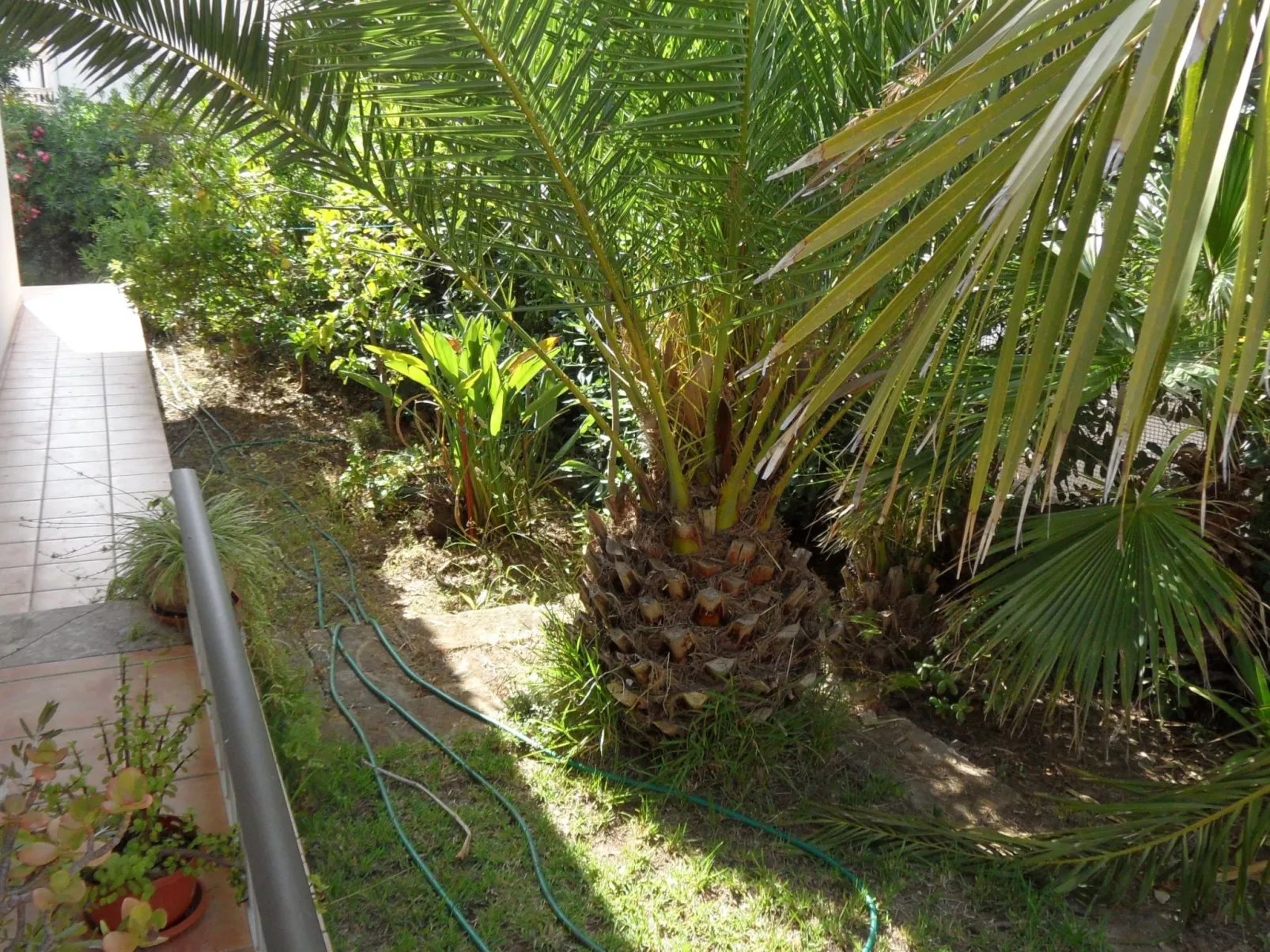 Für 2 Personen und 4 Kinder-Image-tags.info