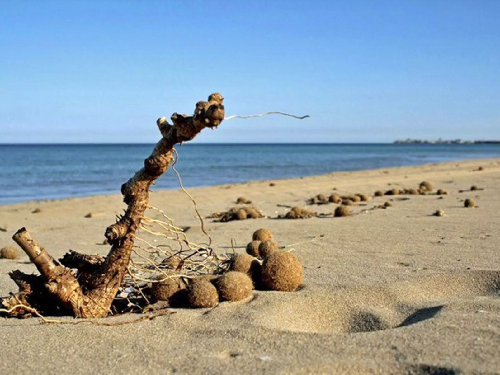 Wohnung 'Villa Cavarra 1-Buiten