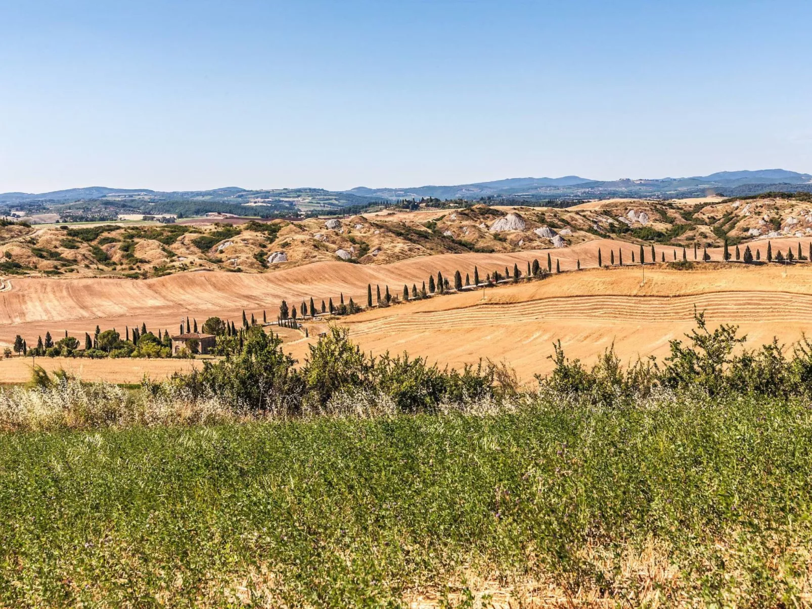 Haus Pino - Podere Fossaccio-Omgeving