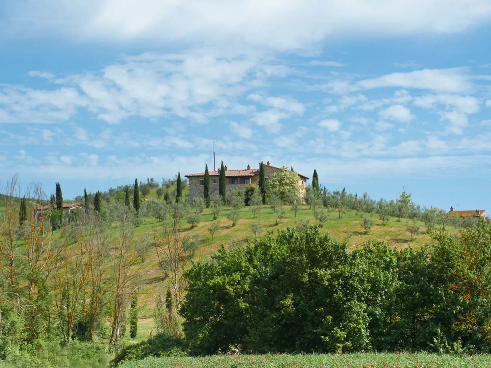 Wohnung "Tulip" mit Gemeinschaftspool-Buiten