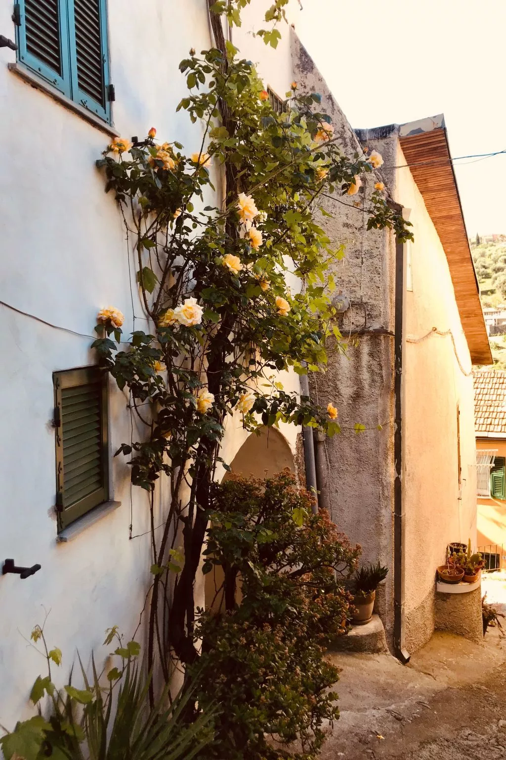 Casa Mediteraneo-Buiten