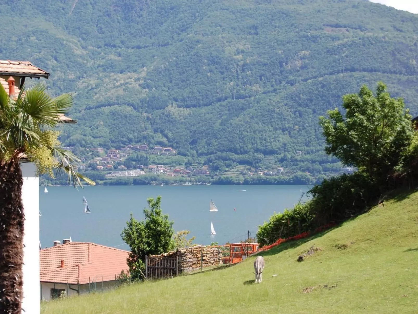 Wohnung Annetta mit Sicht auf See und Berge-Buiten
