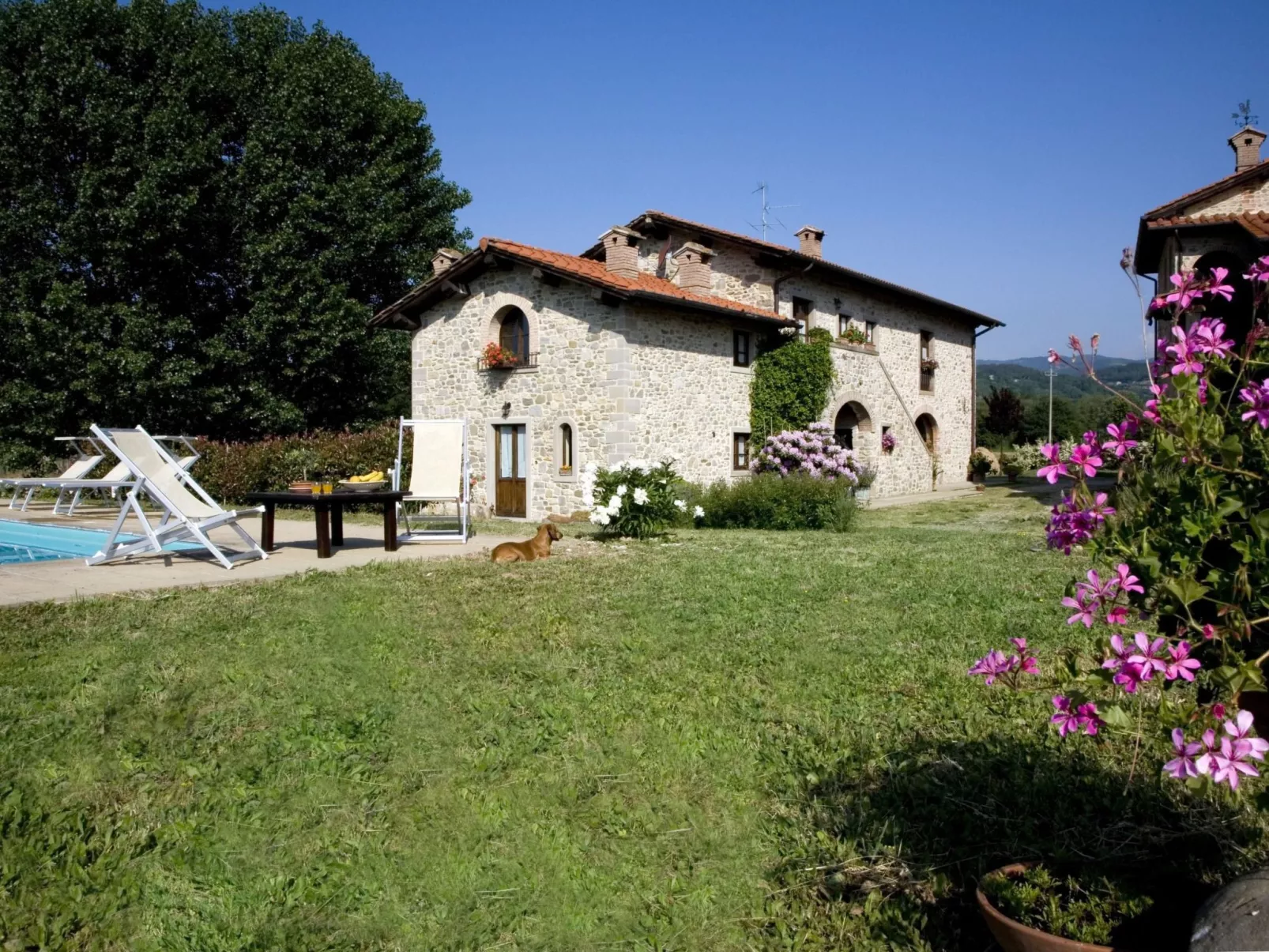 Villa Miby' Anwesen-Image-tags.info