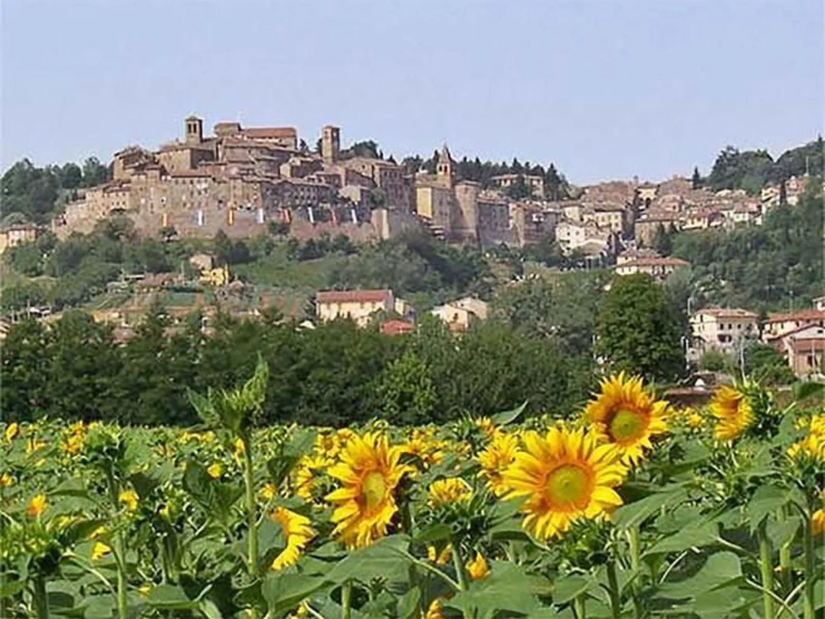 Großes Appartement-Image-tags.info