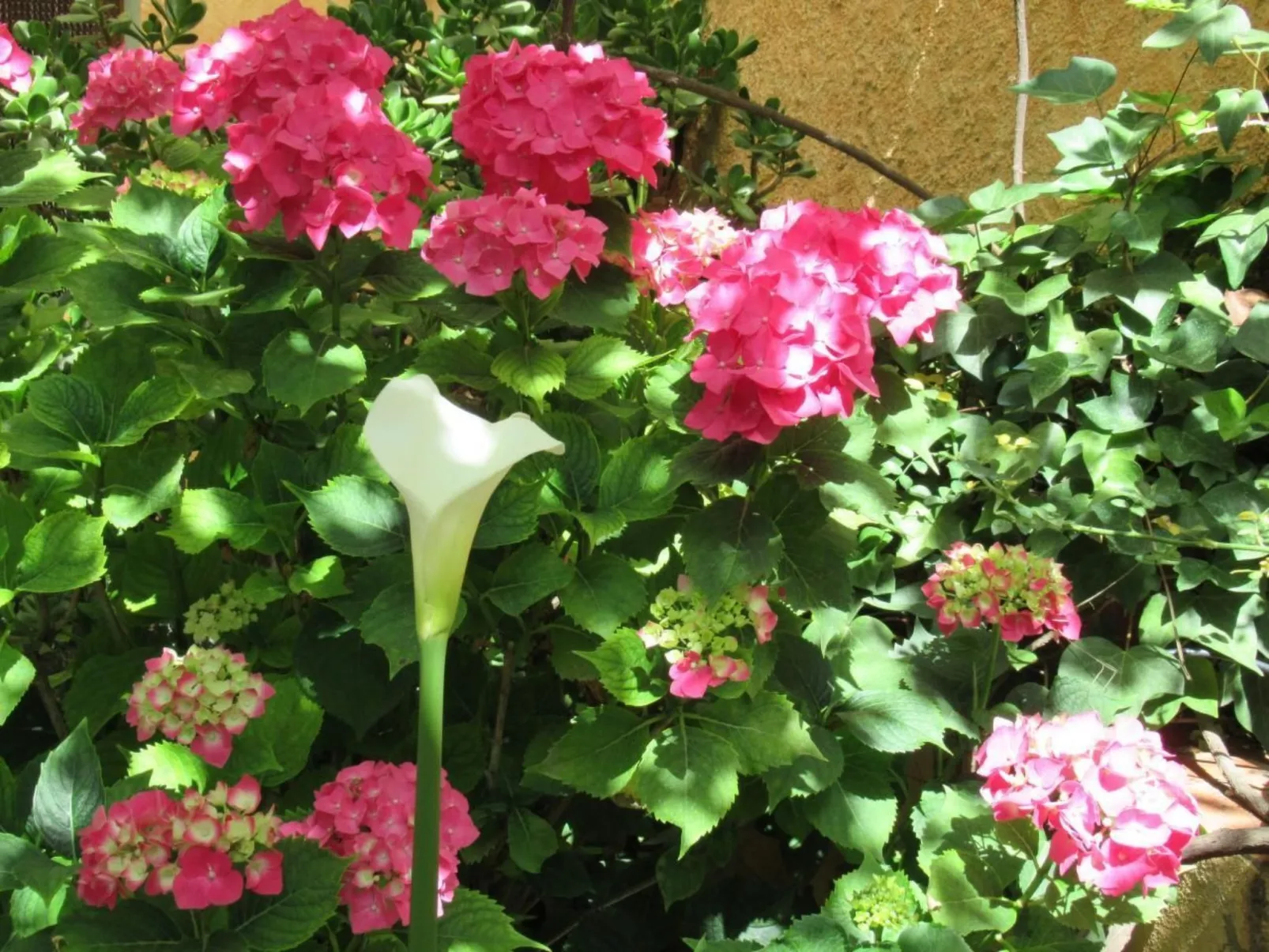 Gemütliches Ferienhaus in Tíjola mit Grill, Garten und Terrasse-Buiten