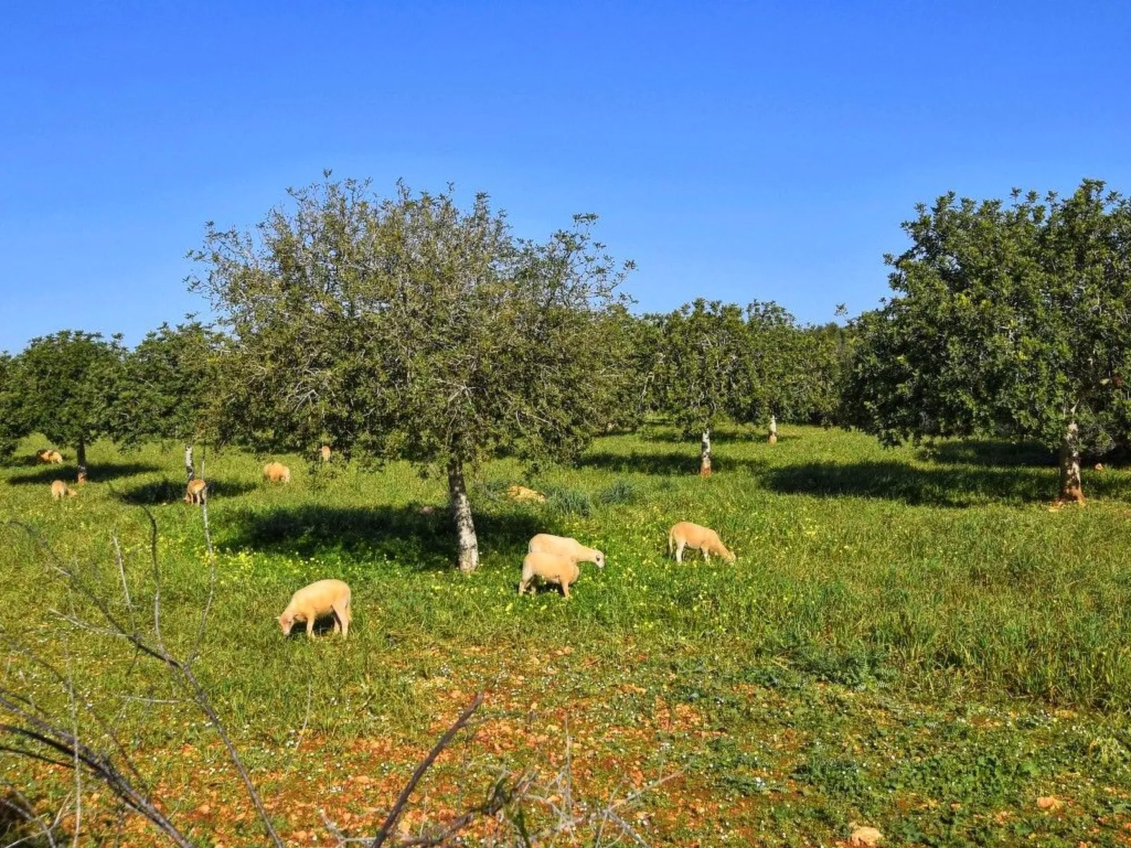 Bonita casa cerca del mar-Image-tags.info