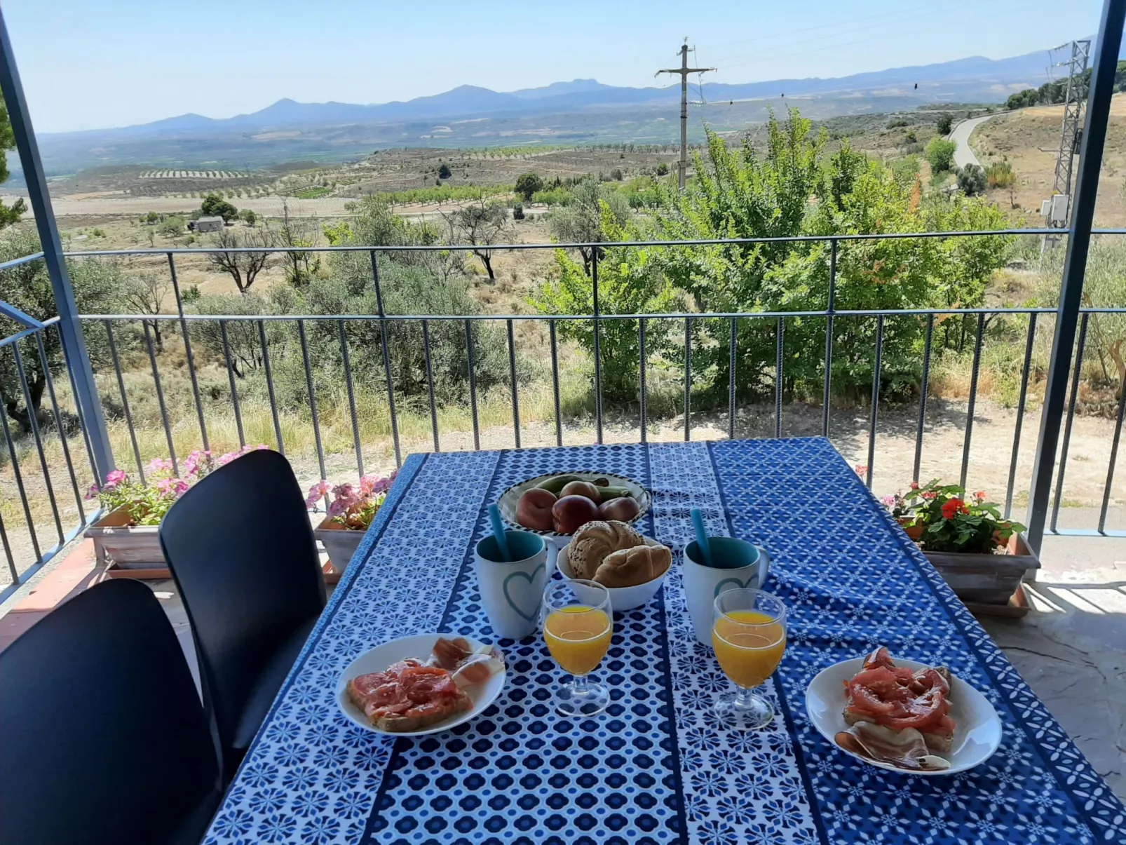 Weingut "Garnacha de Borja".-Buiten