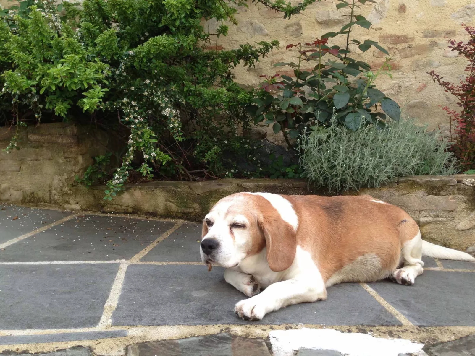 Altes Kloster und eleganter Landsitz-Image-tags.info