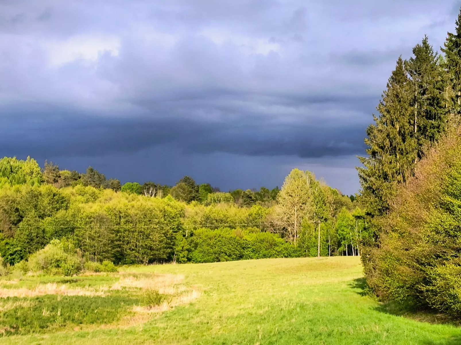 Vogelecke - abseits des Trubels und der Hektik-Buiten