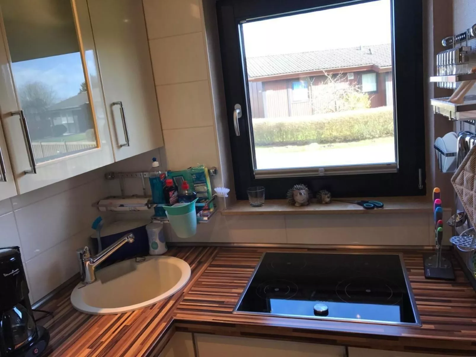 E13 Ferienhaus mit Garten, Terrasse und Deichbli-Binnen