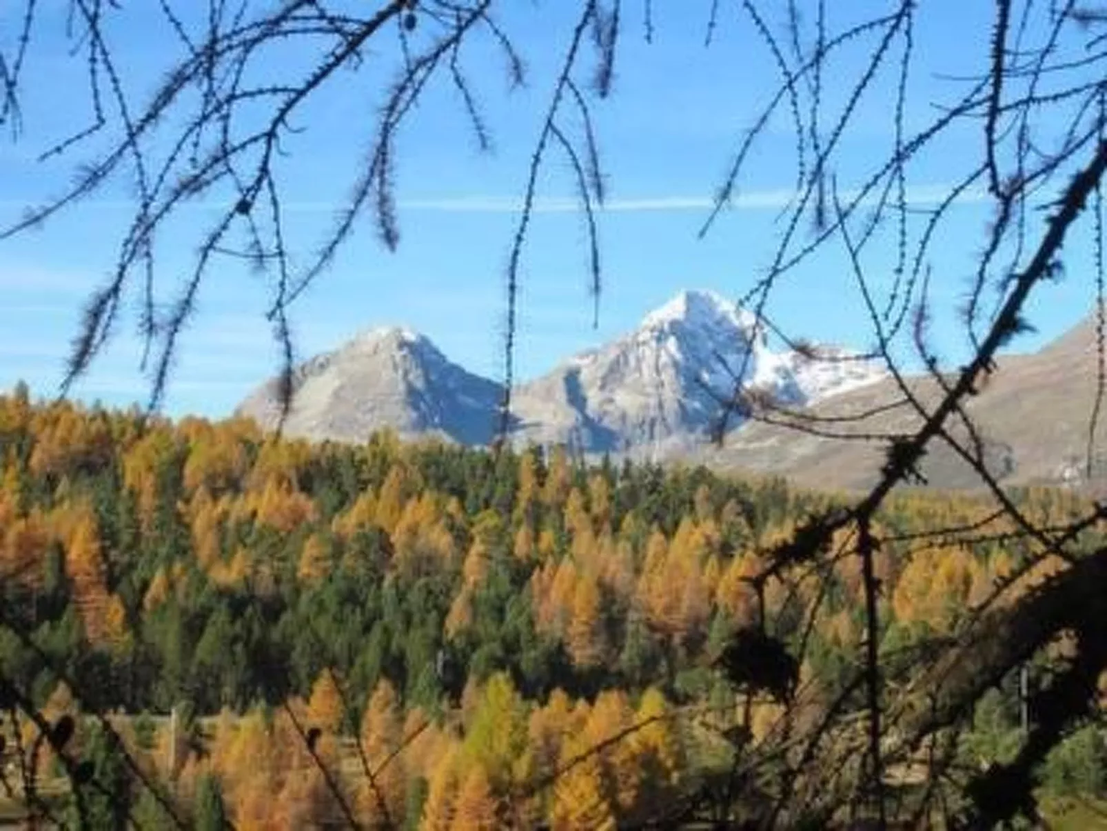 Chesa Basilisk 1 - ÖV inklusive-Buiten