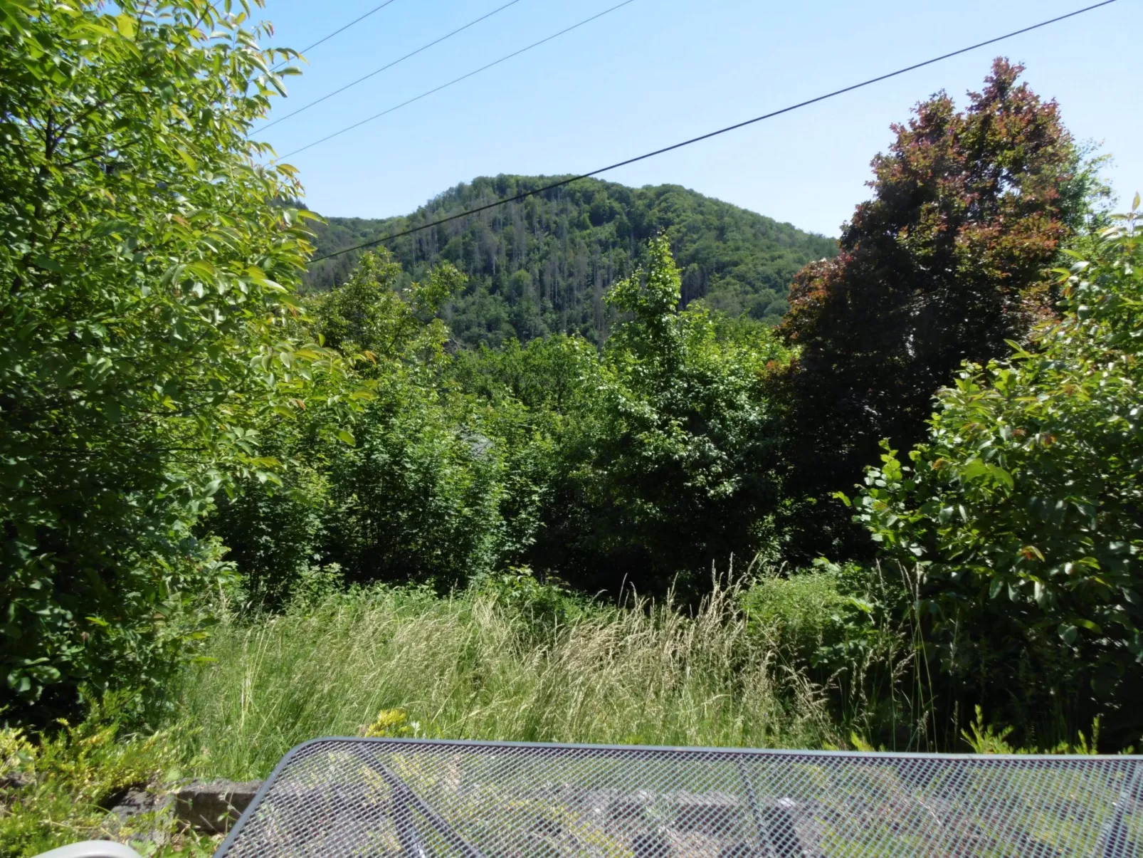 In Waldbreitbach mit Whirlpool - Buiten