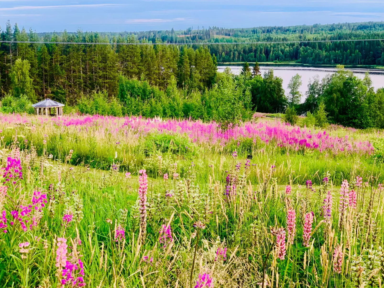 Ferienvilla mit Whirlpool-Buiten