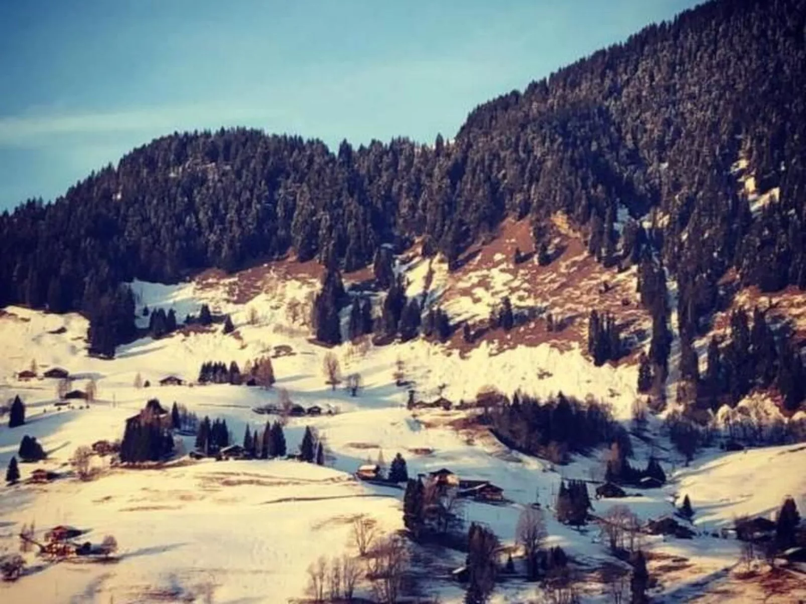 Authentisches Schweizer Alpenchalet aus dem 18. Jh.-Buiten