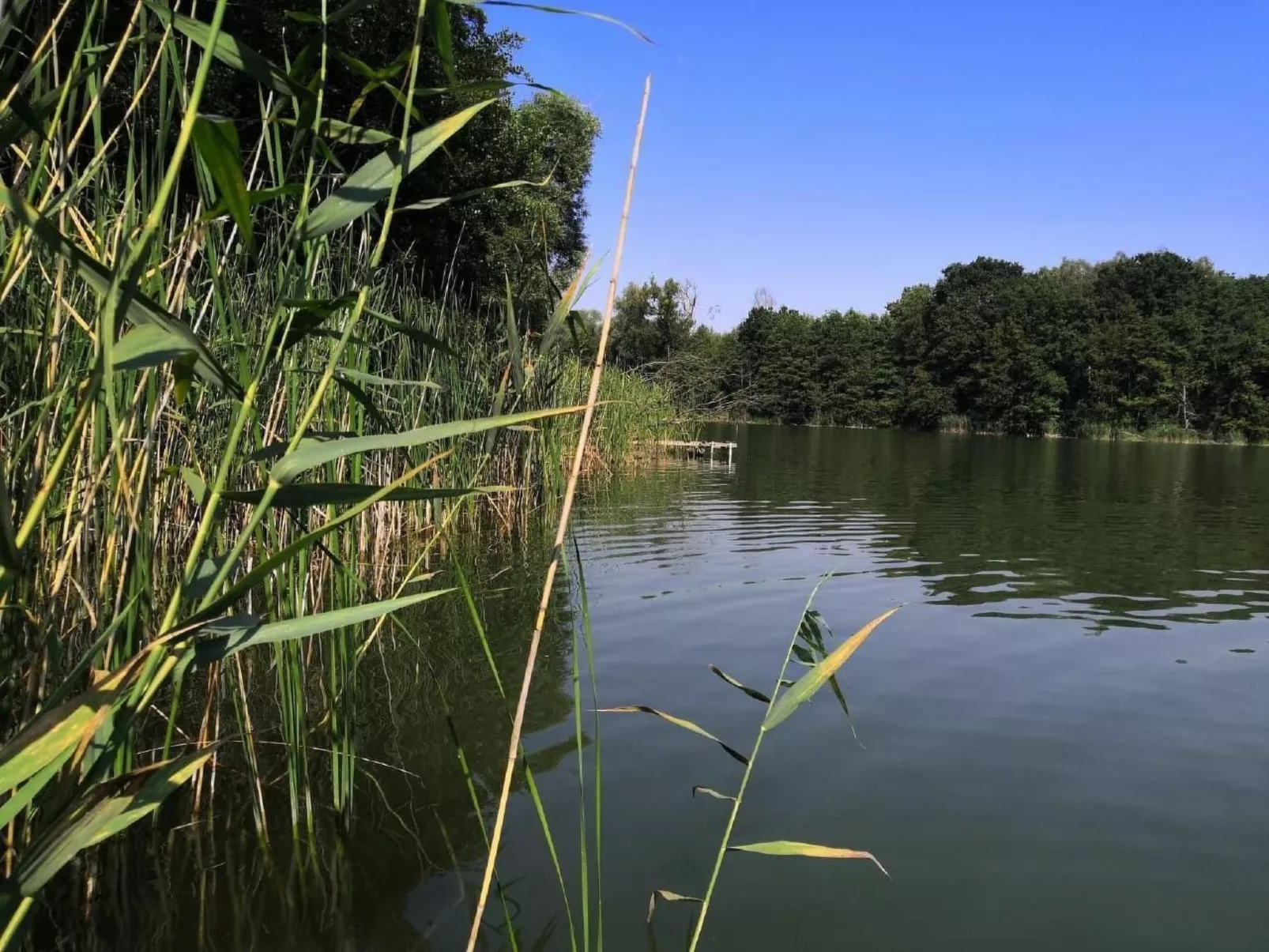 "Ferienhaus GolczaVita"-Buiten