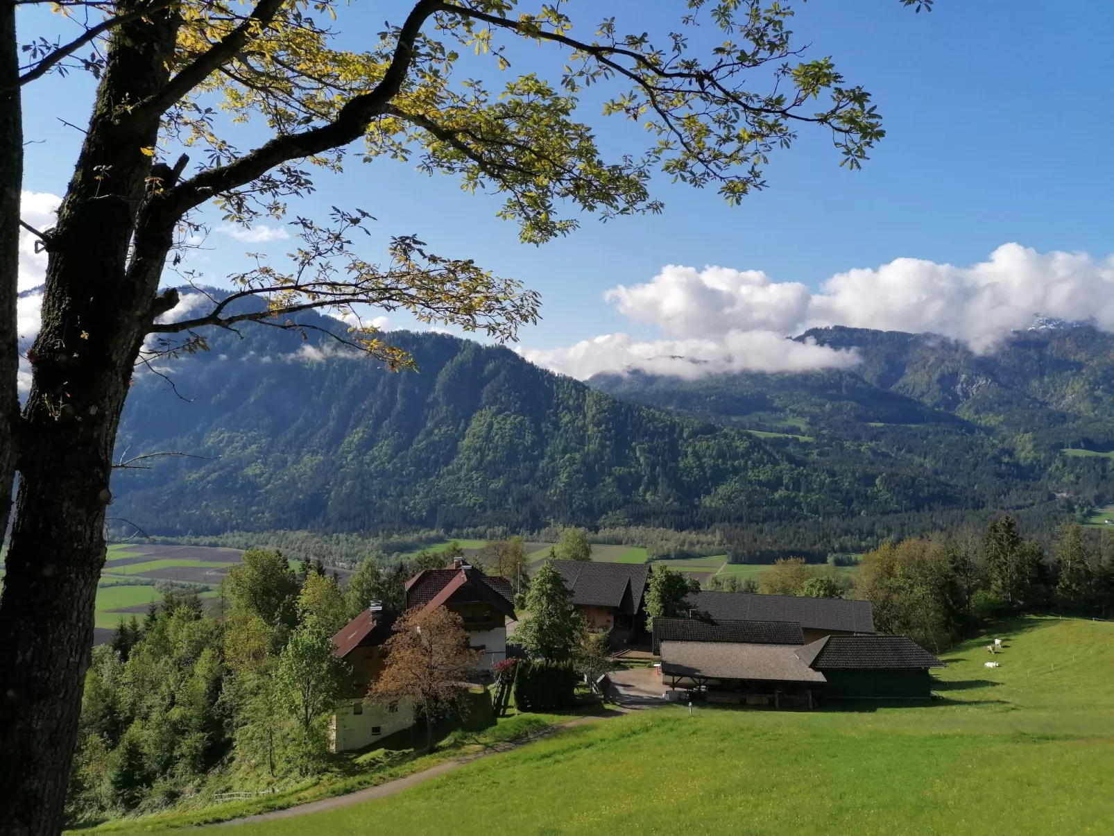 Waldpension Ranner-Buiten