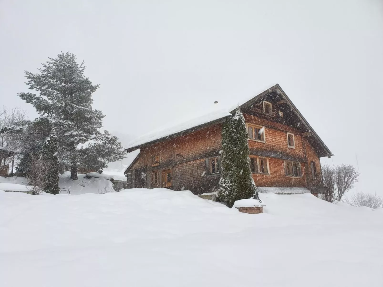 Musikheim-Image-tags.info