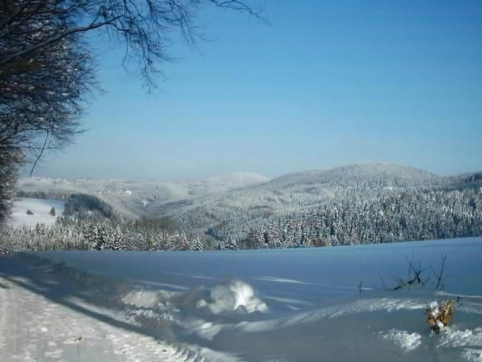 Haus "Hermann"-Buiten