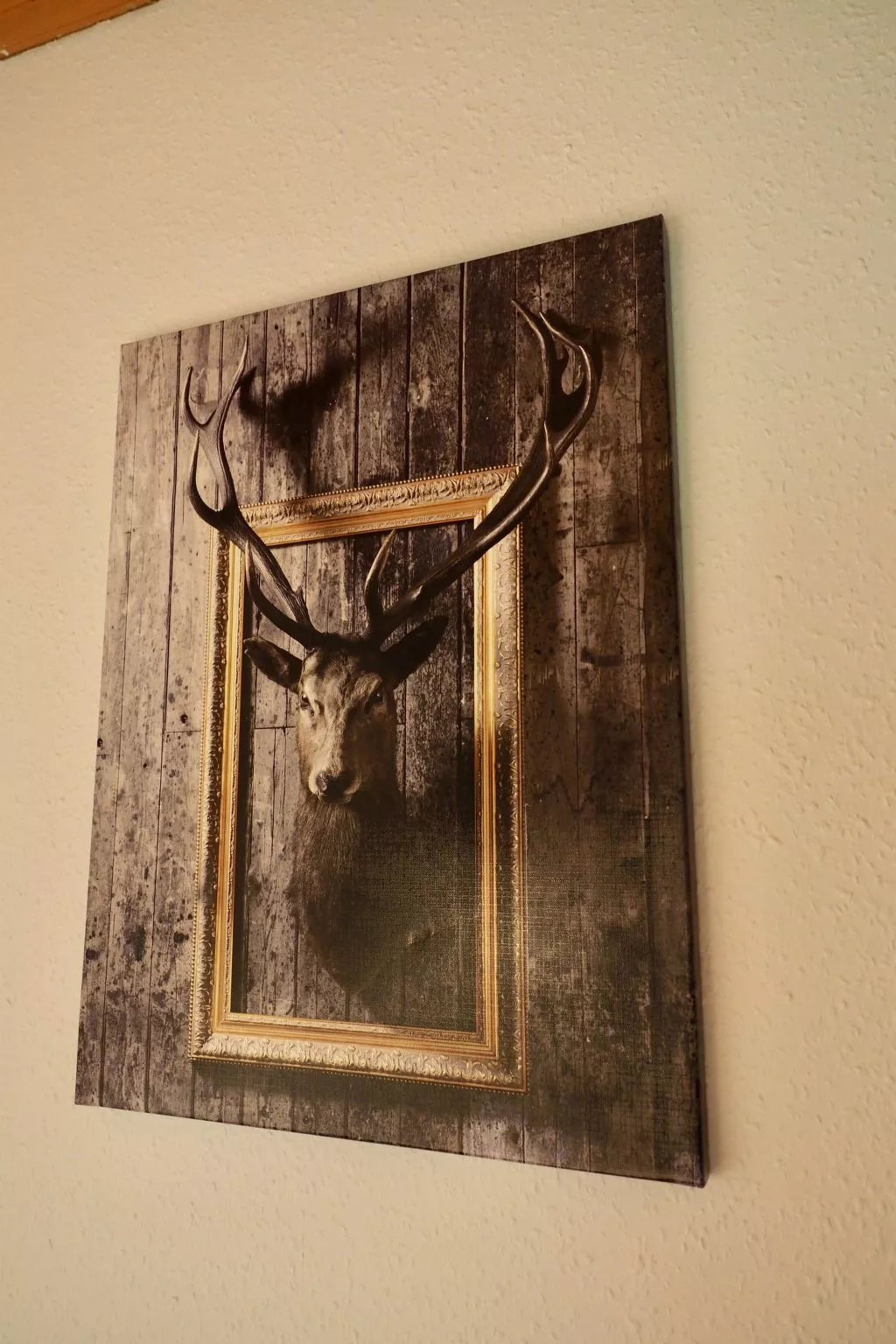 Ferienwohnunglatrop-Buiten