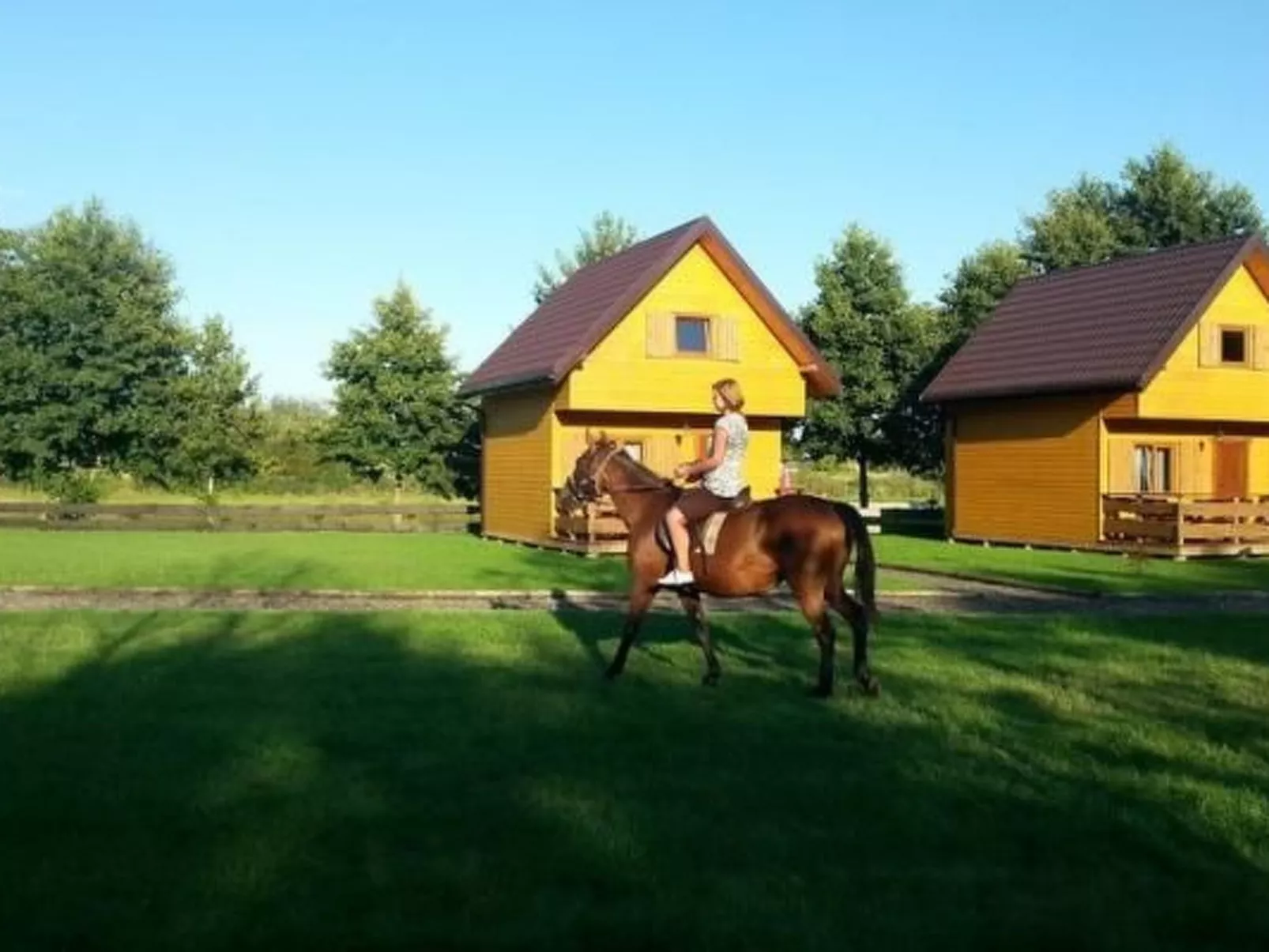Gemütliches Appartement mit Terrasse und Garten-Buiten
