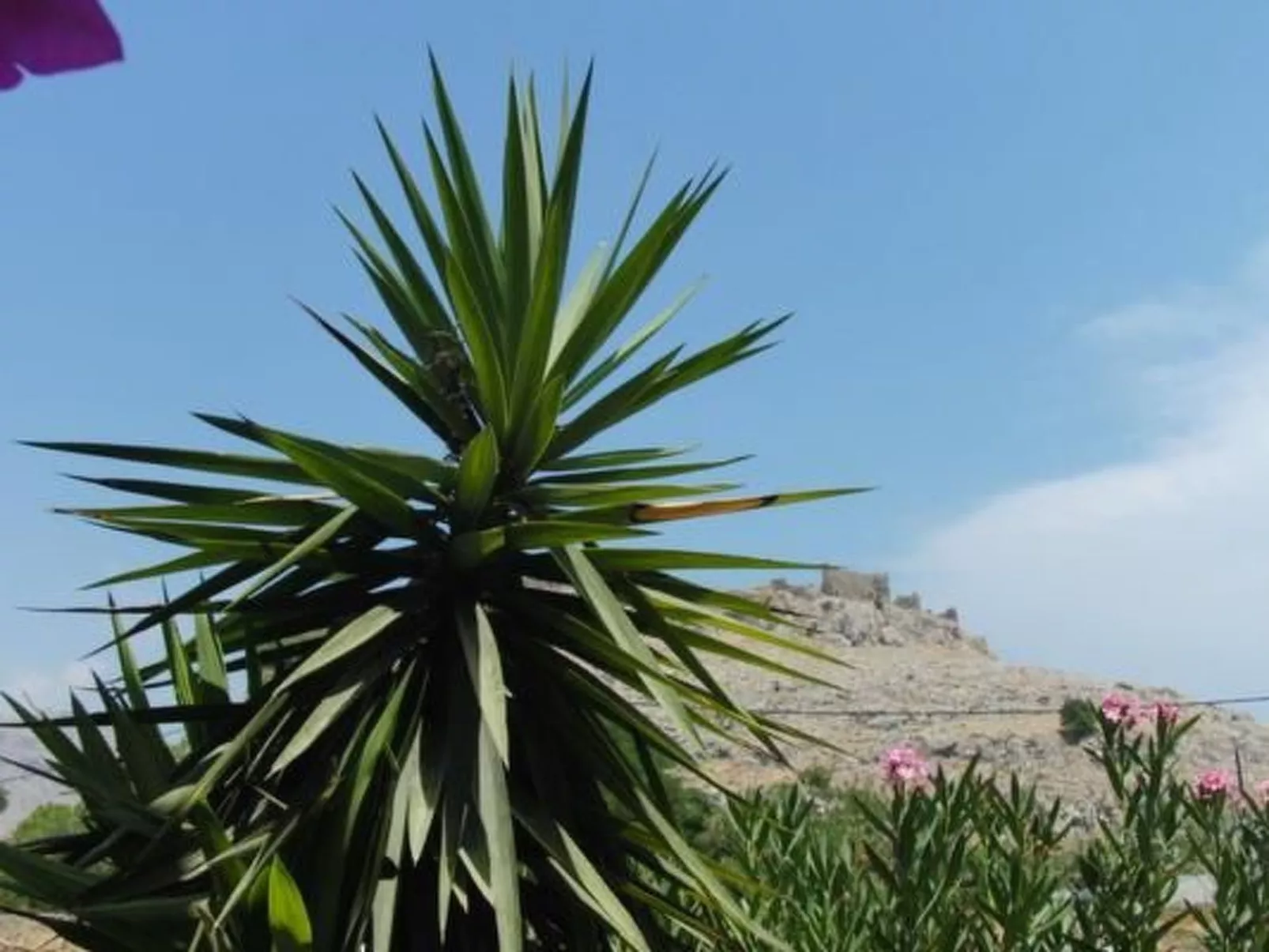 Castle View Haraki-Image-tags.info