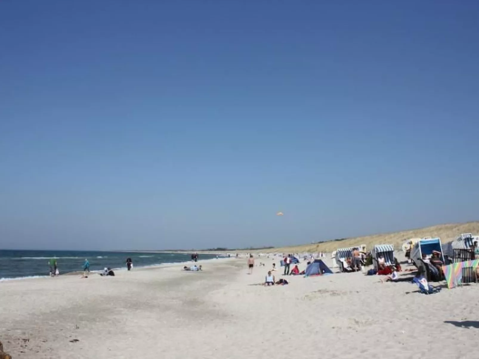 Schwalbe-Image-tags.info