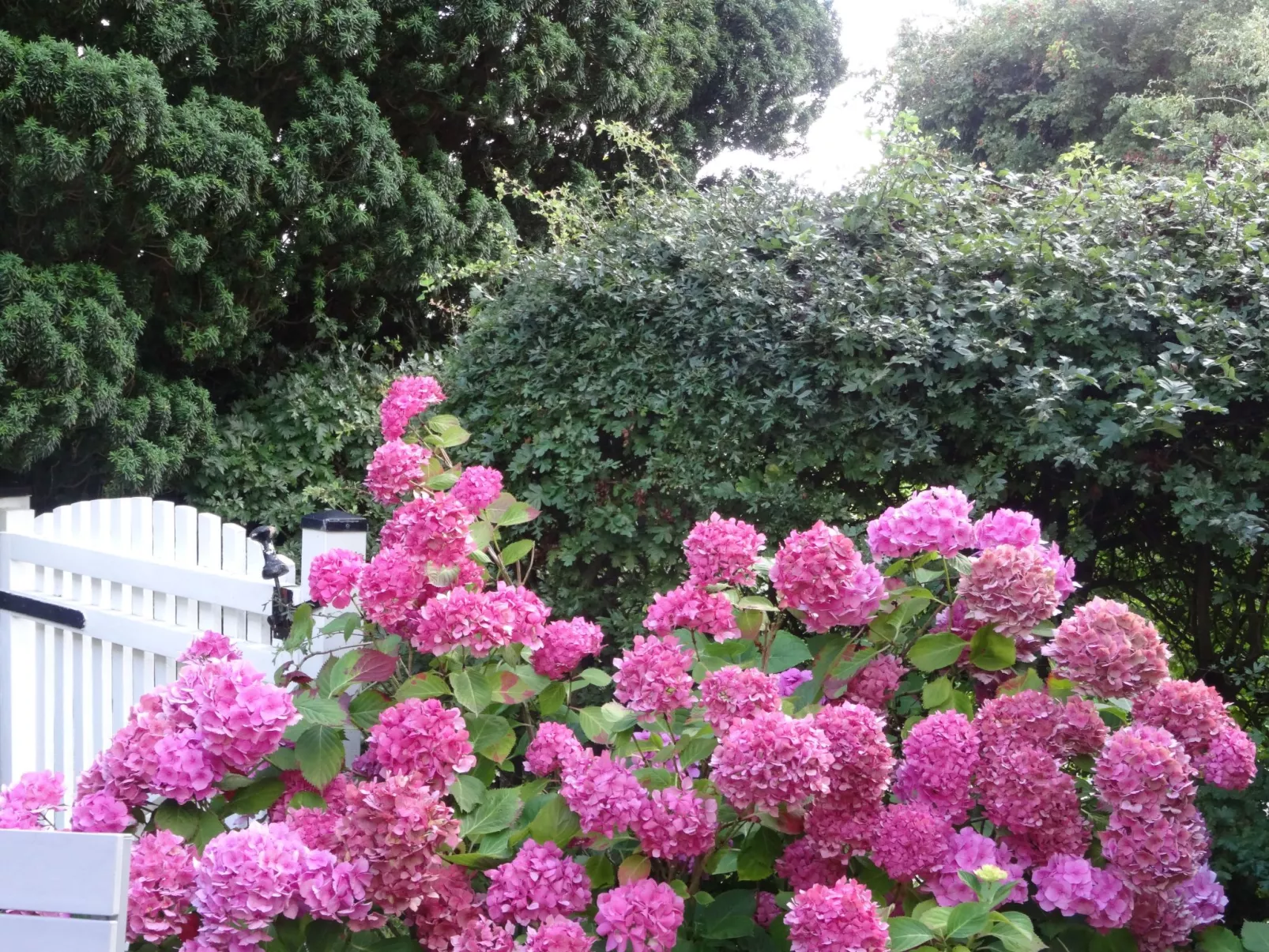 Zum Leuchtturm-Buiten