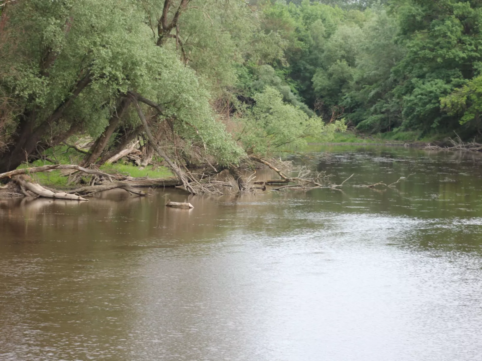 In Angern an der March-Buiten