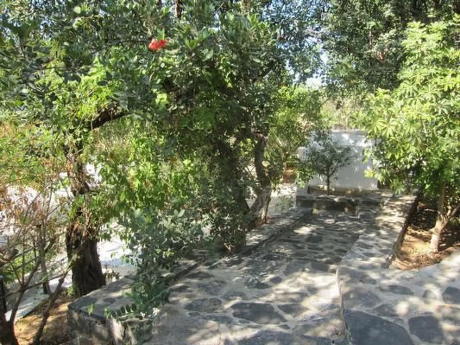 Wohnung Michalis in Agios Nikolaos mit Balkon-Image-tags.info