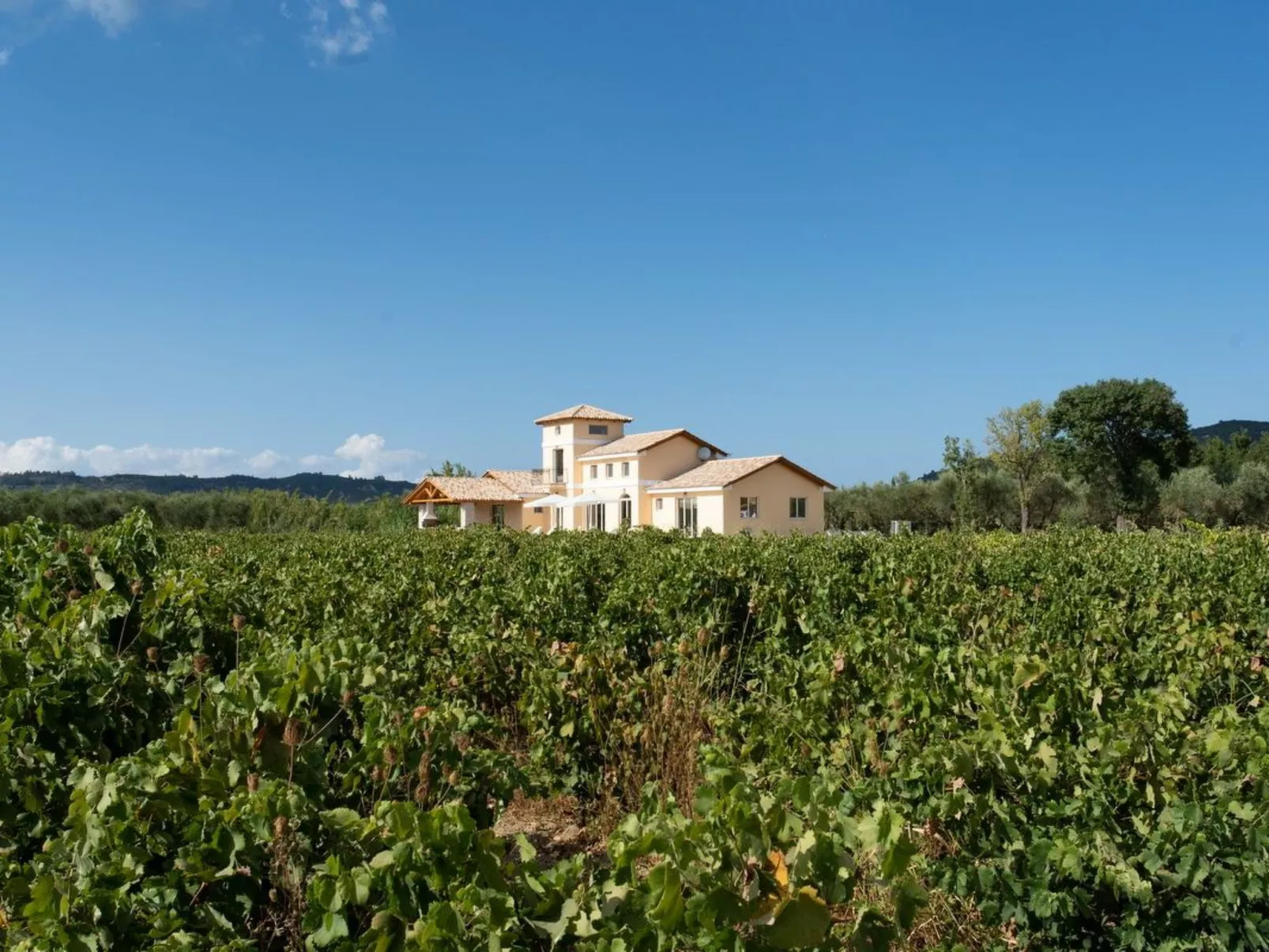 Aneli Luxury Villas, Villa Semeli 7 Schlafzimmer-Buiten