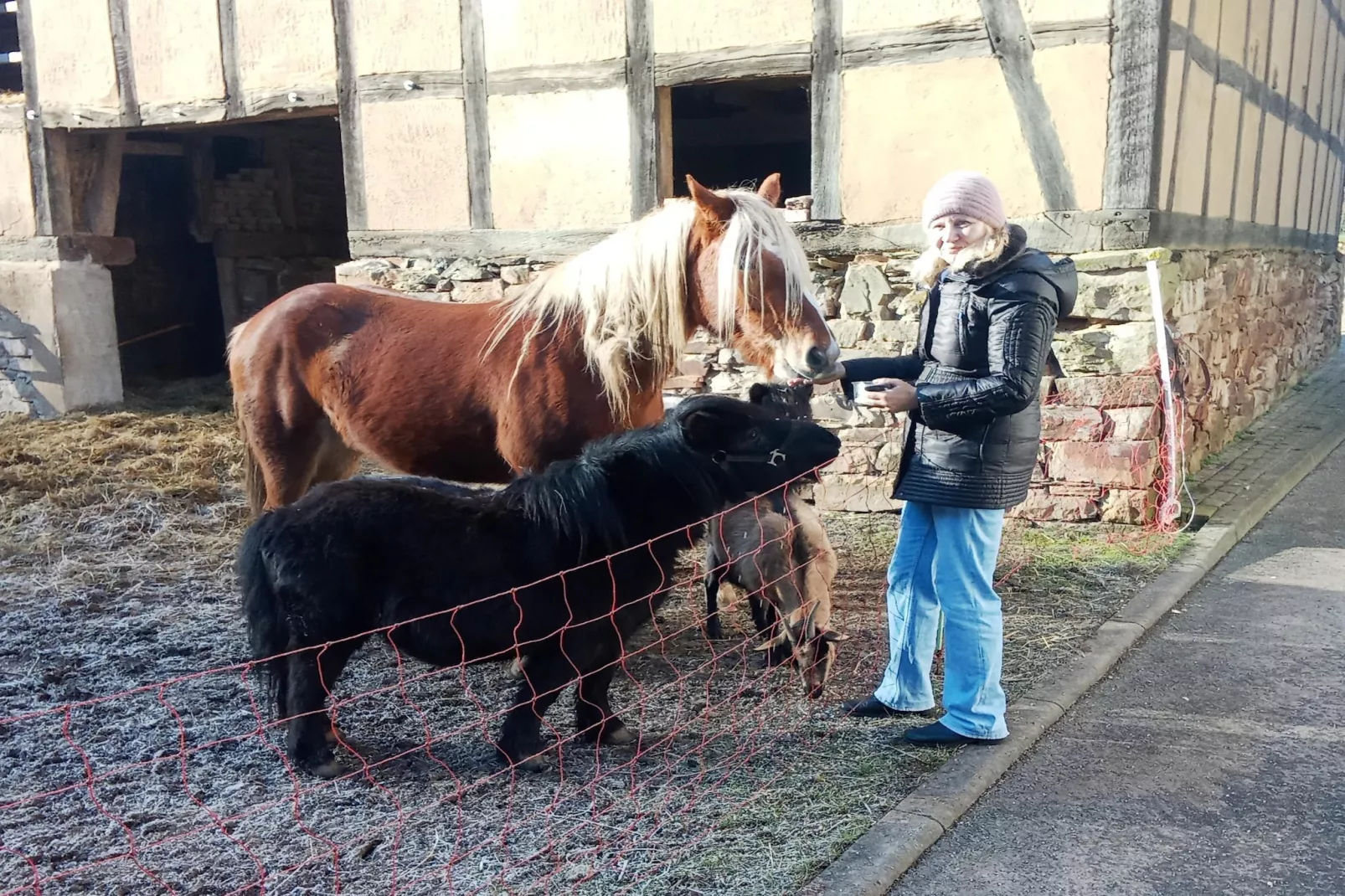 Am Ferienbauernhof - FW 5-Parkfaciliteiten