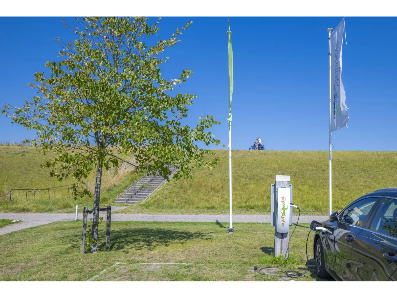 Ruisweg 91-Image-tags.info