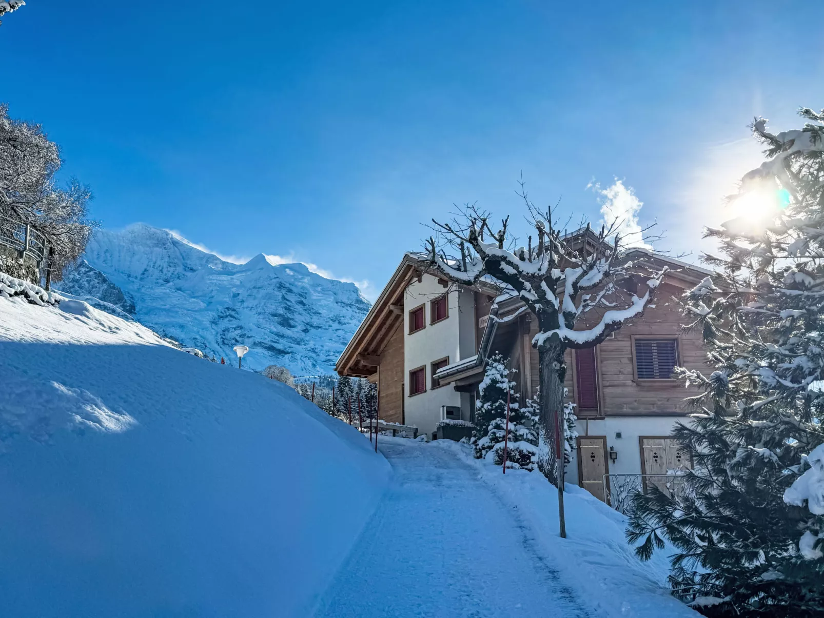 Silberhorn Apt. DW - Buiten