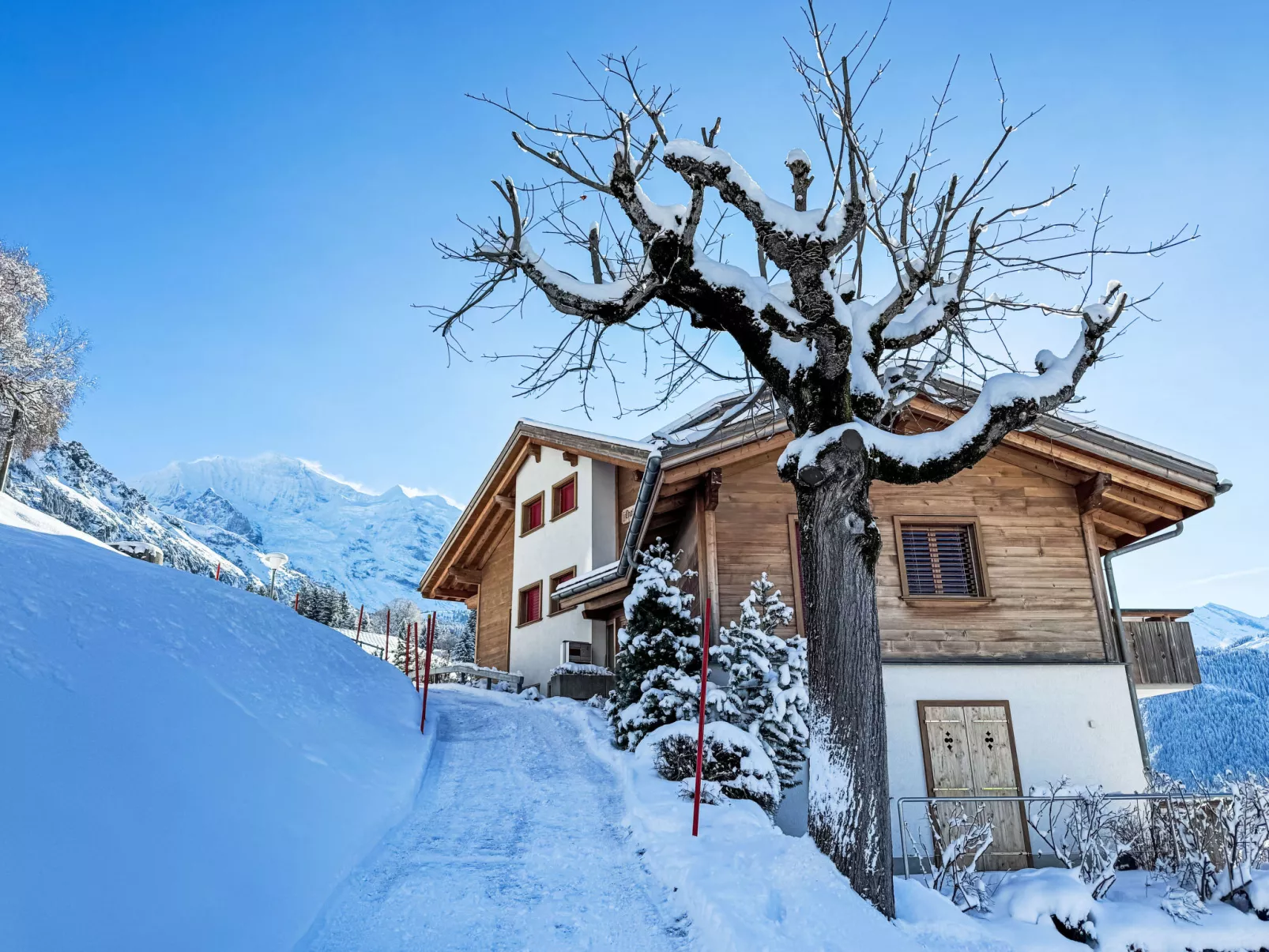 Silberhorn Apt. V - Buiten