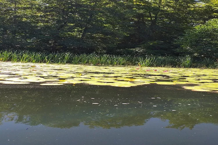 Holiday home in Frydrychowo - Gebieden zomer 1km