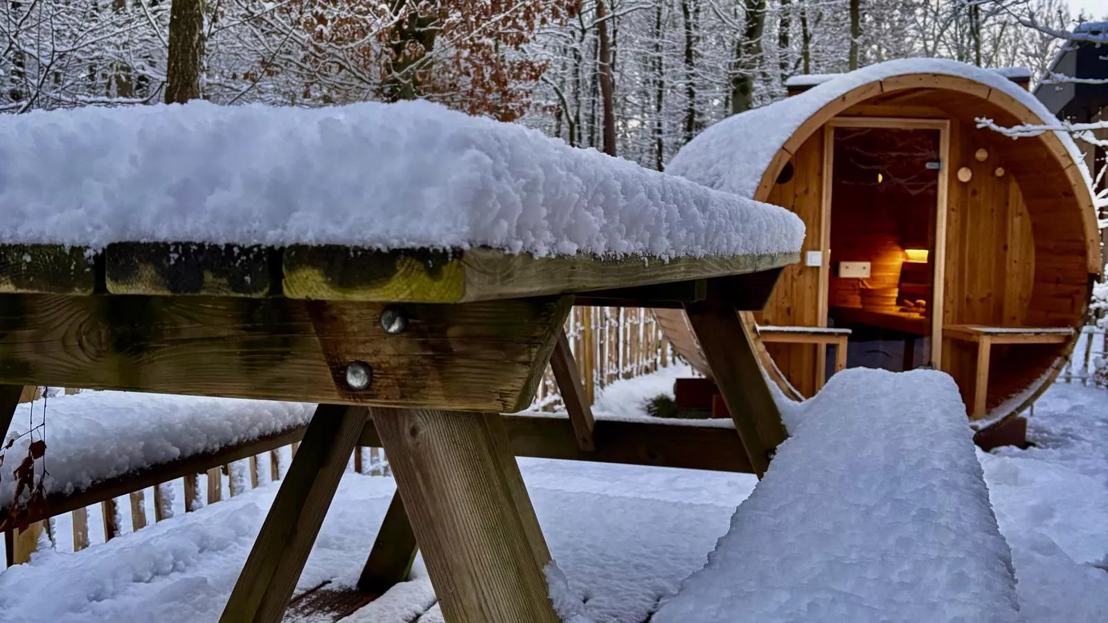 Cabin 22-Tuin winter