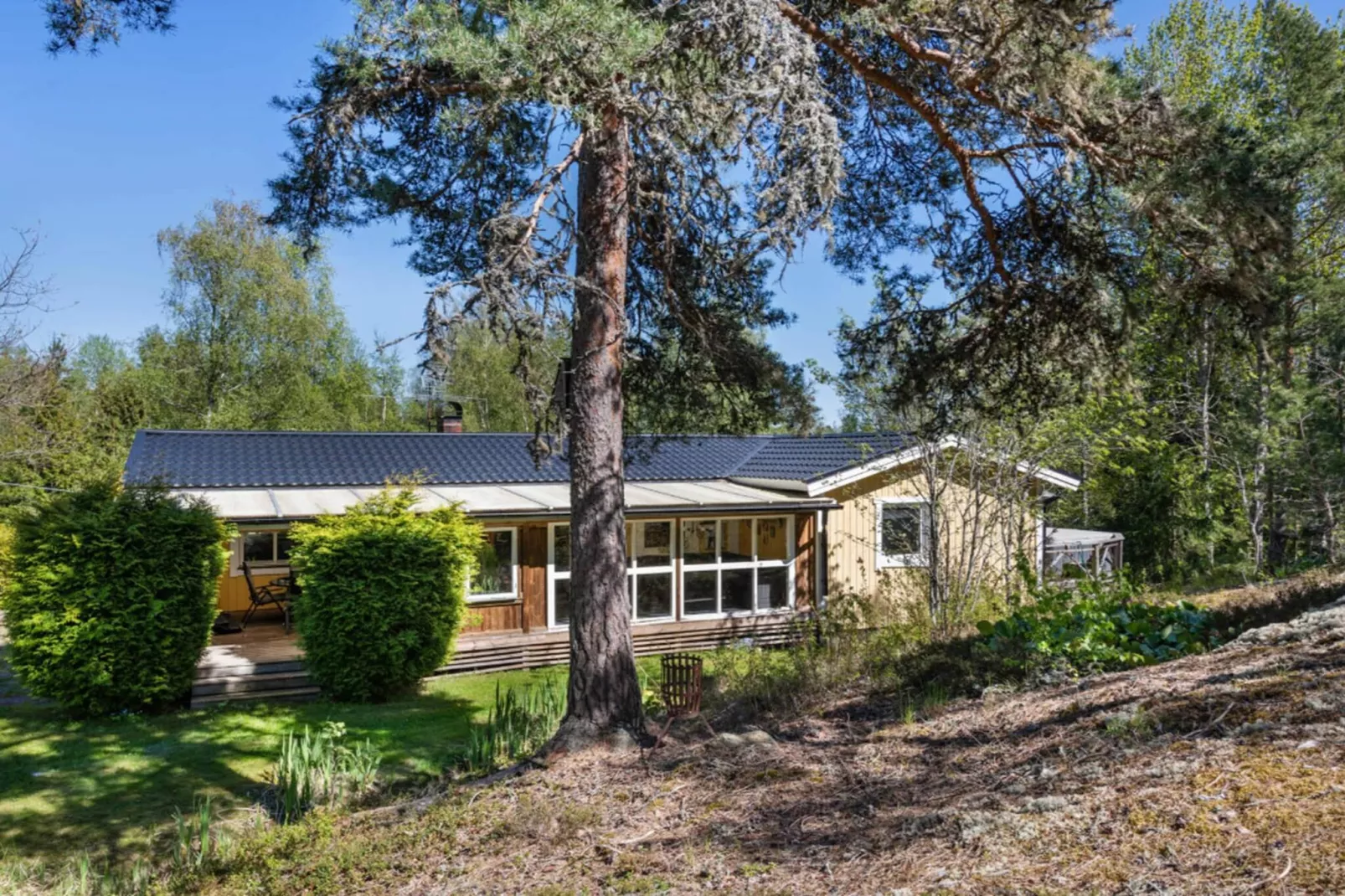 Gezellig toevluchtsoord in het bos met bubbelbad