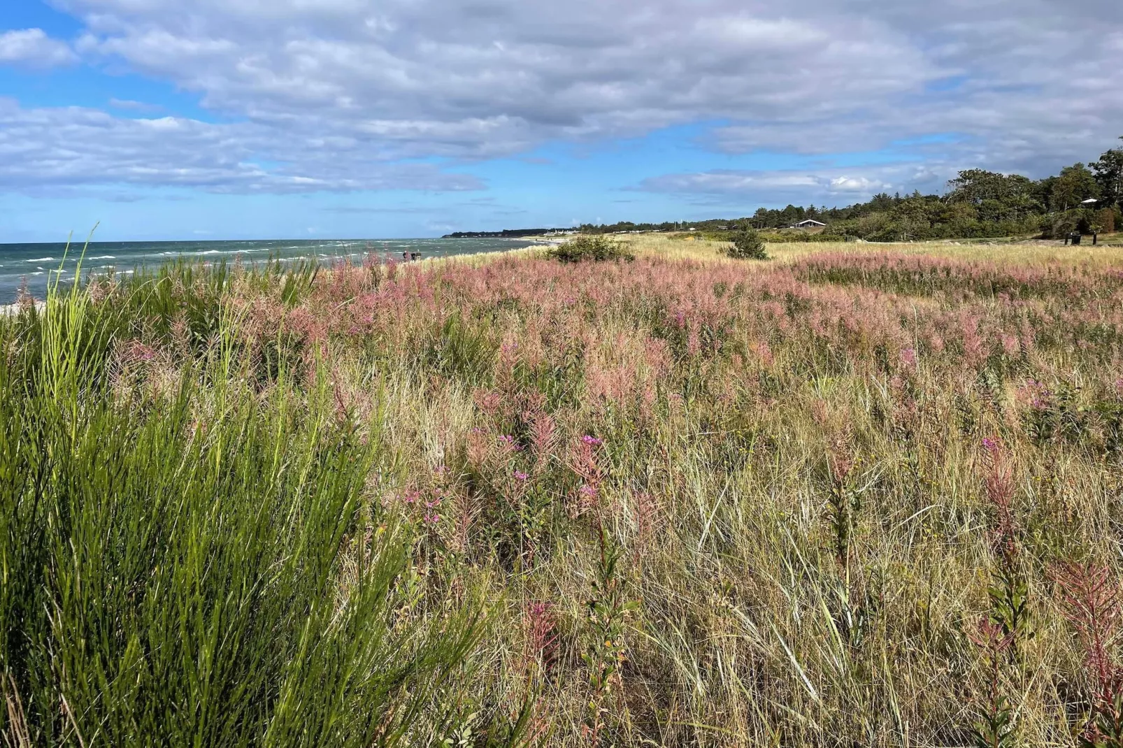 6 persoons vakantie huis in Glesborg-By Traum