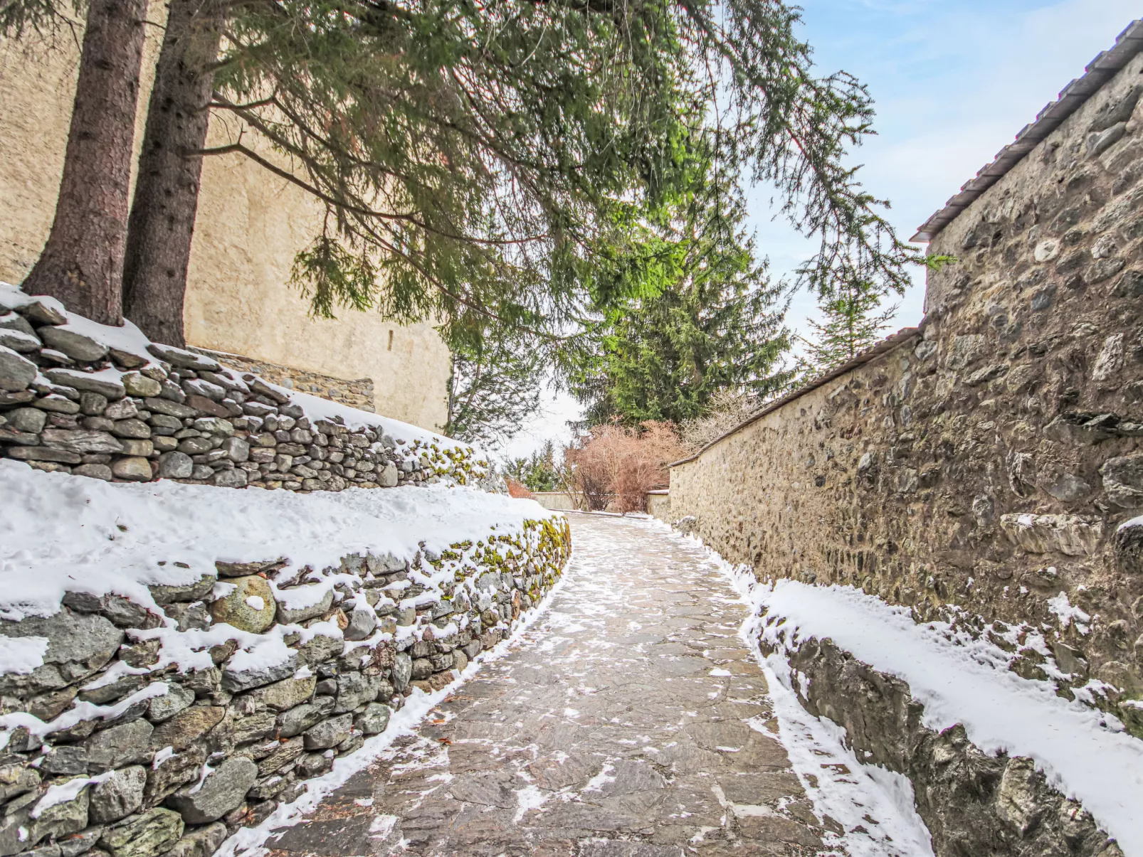 Burg Biedenegg, Niedermontani-Binnen