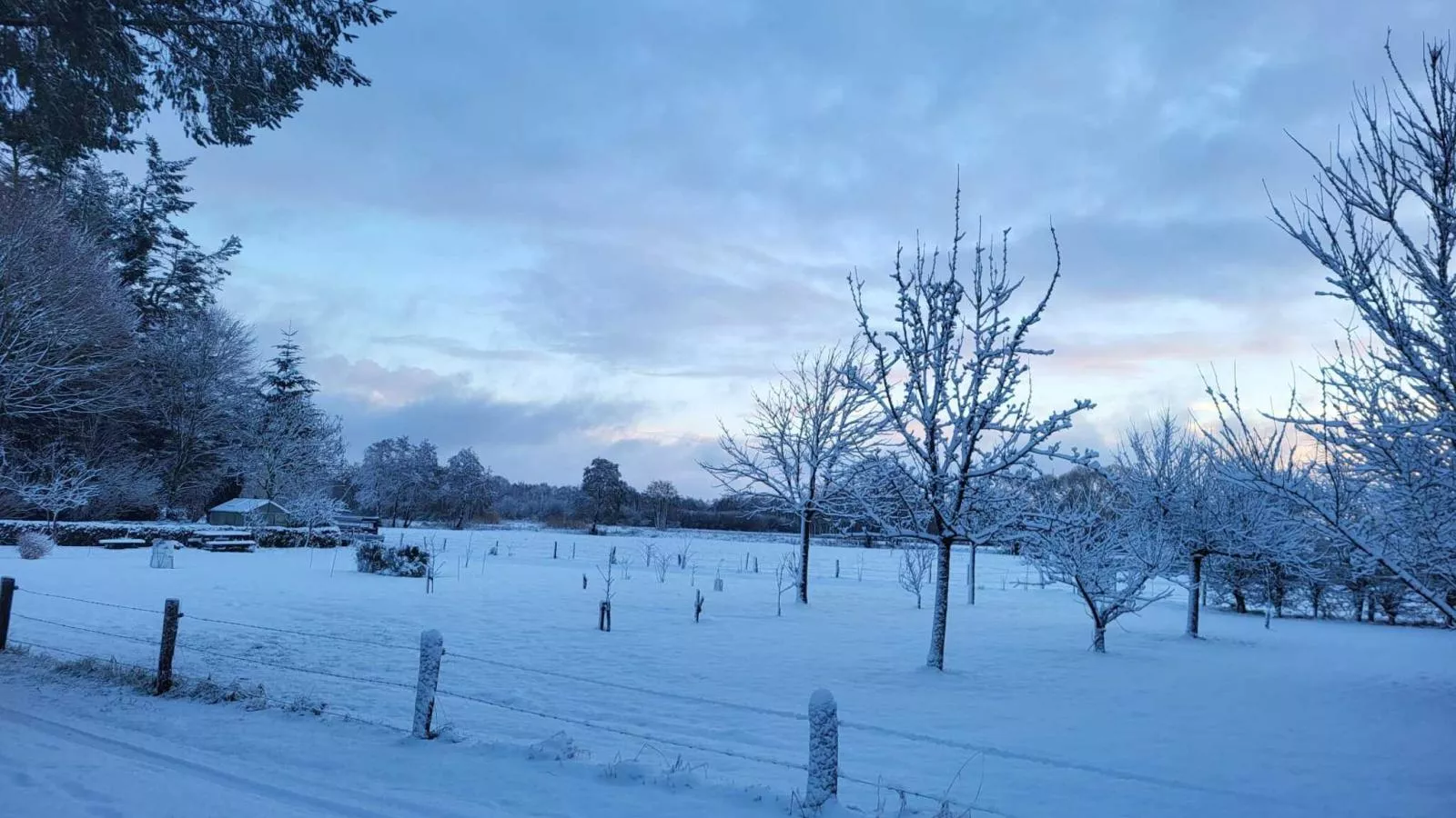 Uilenhof - Gebied winter 1km