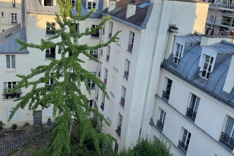 Appartement Paris 5eme-Uitzicht zomer
